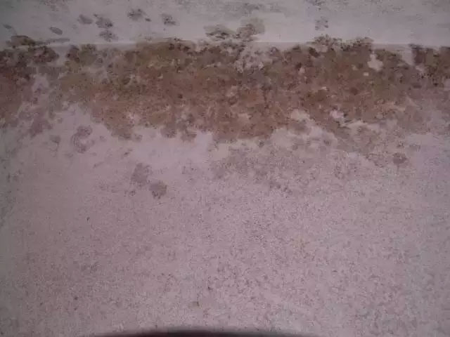 鑶�?zh脿n)鑷冮劊?澶у父瑕嬪晱椤屽強瑙ｆ焙杈︽硶